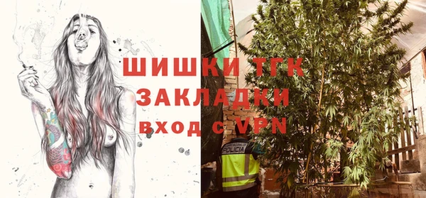 гашик Алексеевка