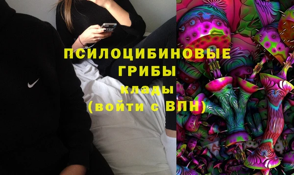 ГАЛЛЮЦИНОГЕННЫЕ ГРИБЫ Алзамай