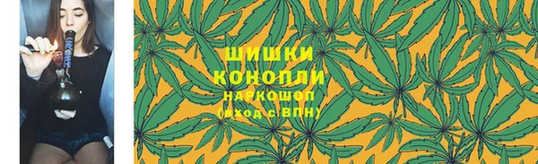 ГАЛЛЮЦИНОГЕННЫЕ ГРИБЫ Алзамай