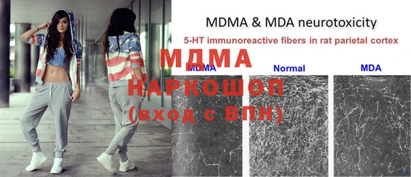 ГАЛЛЮЦИНОГЕННЫЕ ГРИБЫ Алзамай