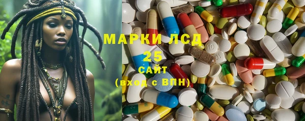 ГАЛЛЮЦИНОГЕННЫЕ ГРИБЫ Алзамай