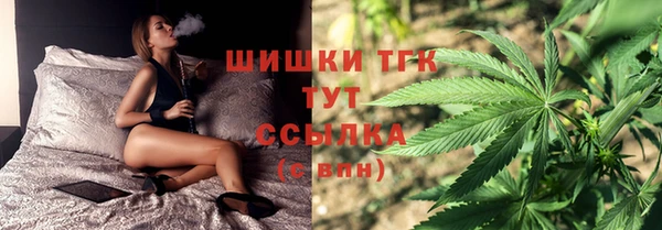 гашик Алексеевка