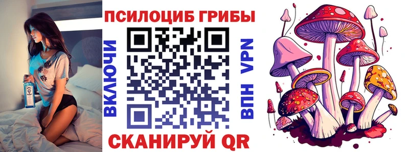 что такое наркотик МЕГА маркетплейс Псилоцибиновые грибы Cubensis Чердынь